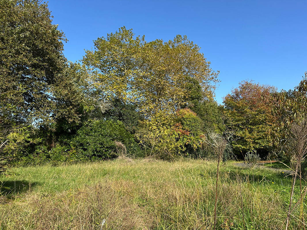 Terrain à SAINT-MARTIN-DE-HINX