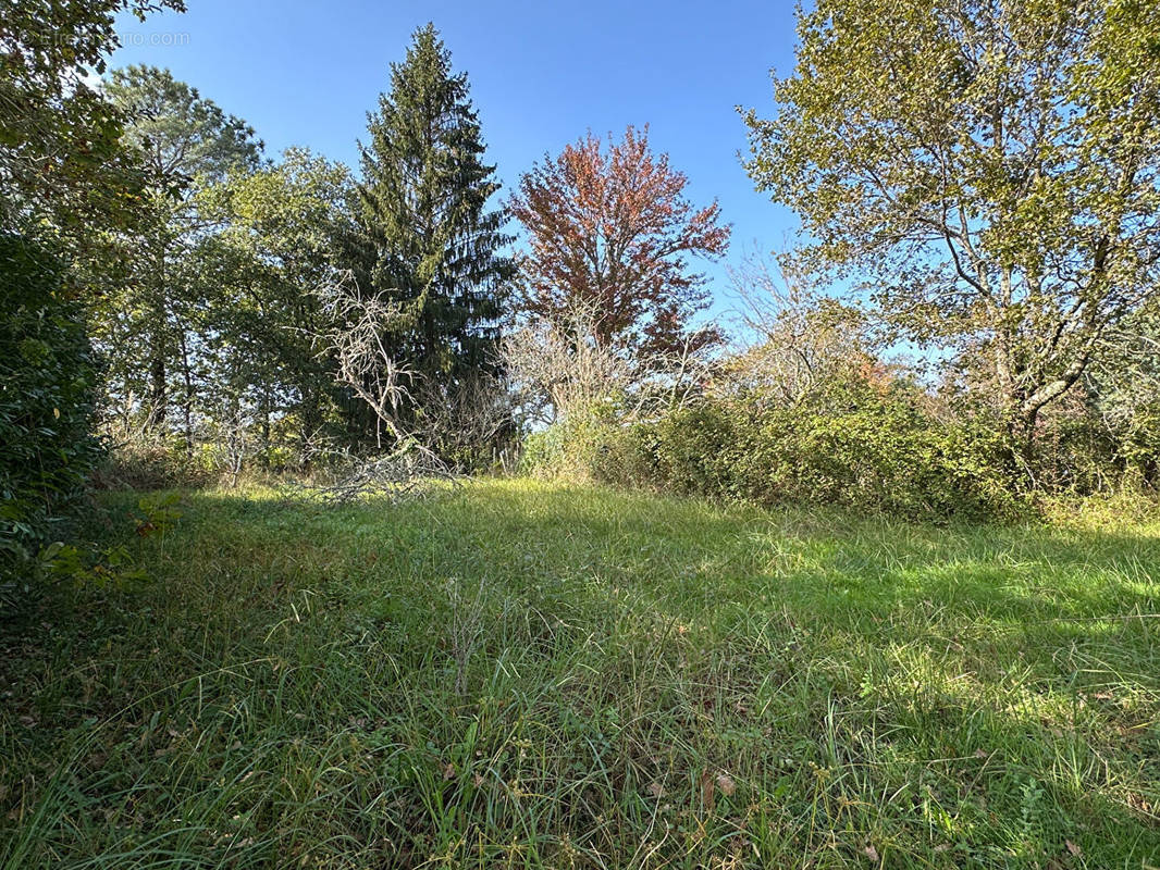 Terrain à SAINT-MARTIN-DE-HINX