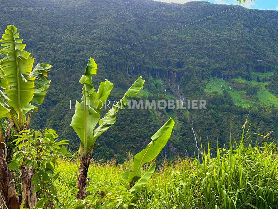 Terrain à SALAZIE