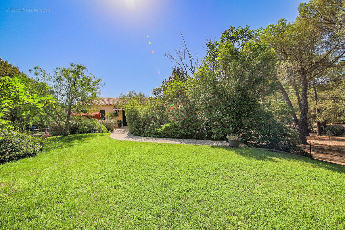 Maison à PORTO-VECCHIO