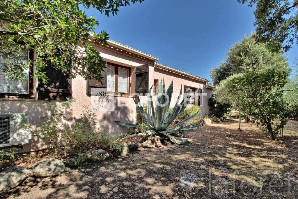 Maison à PORTO-VECCHIO