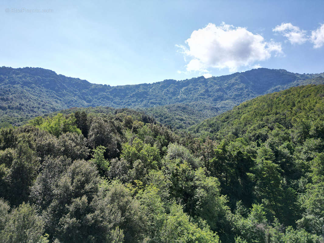 Terrain à PRUNO