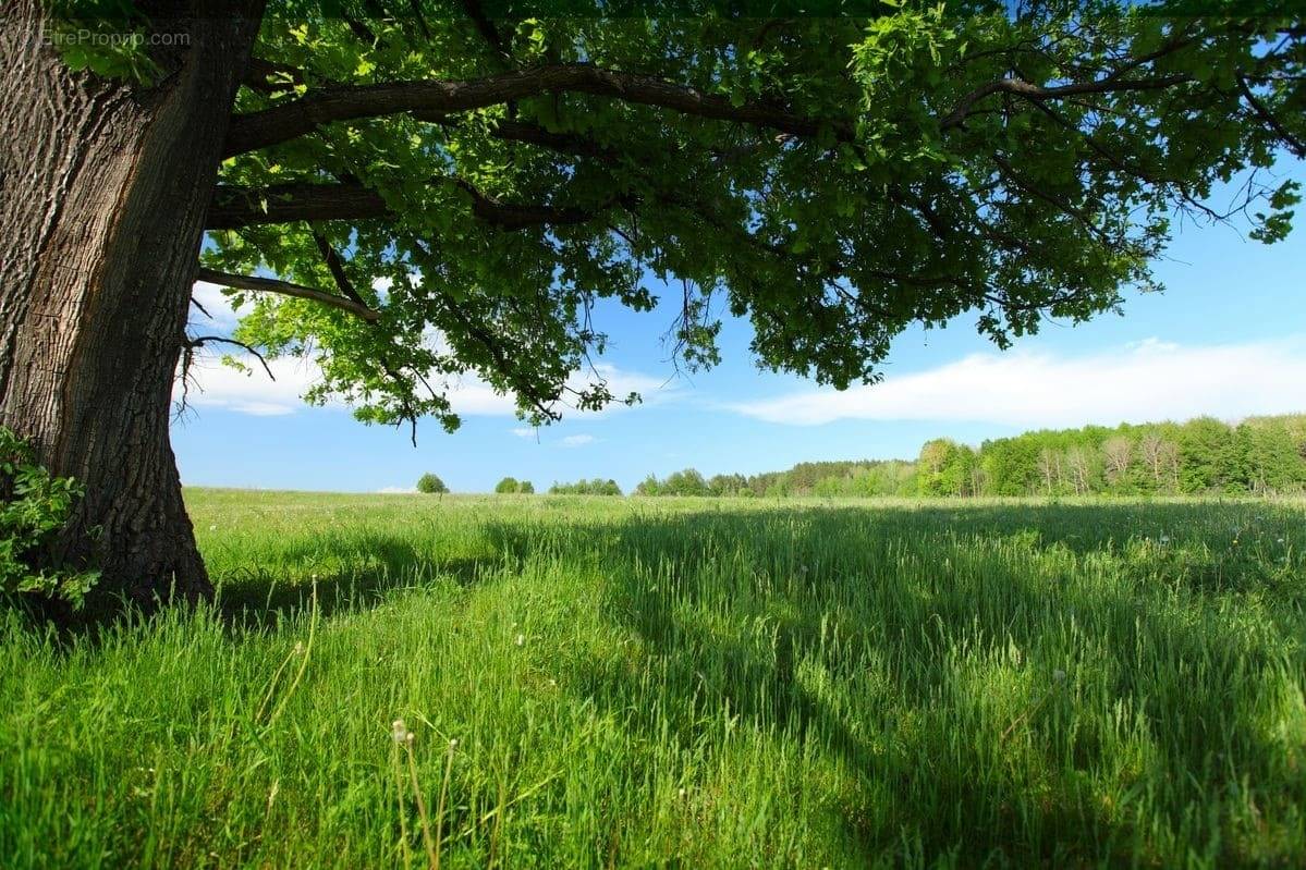 Terrain à VILLIERS-AU-BOUIN