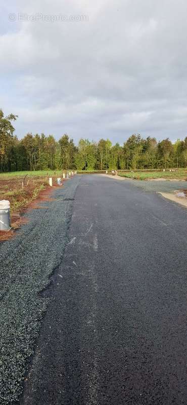 Terrain à LA CROIX-EN-TOURAINE