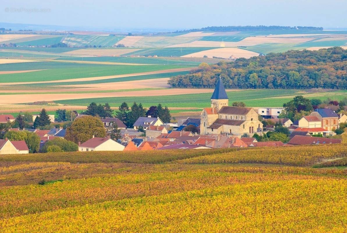 Terrain à LA MEIGNANNE