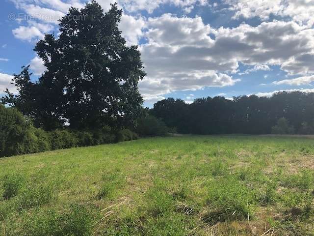 Terrain à LOIRE