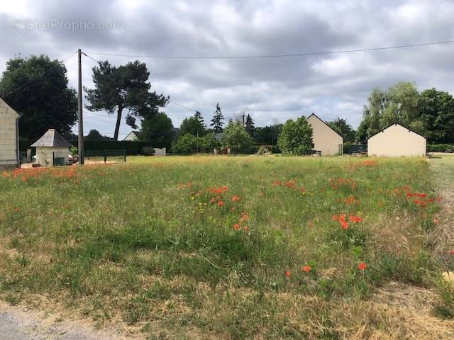 Terrain à SEICHES-SUR-LE-LOIR