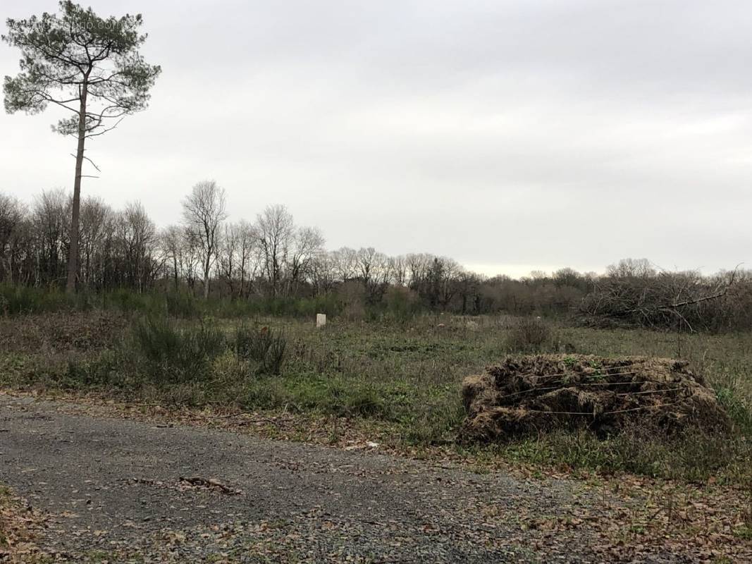 Terrain à TIERCE