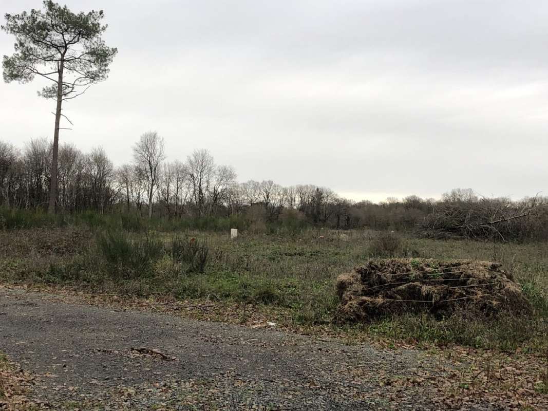 Terrain à TIERCE