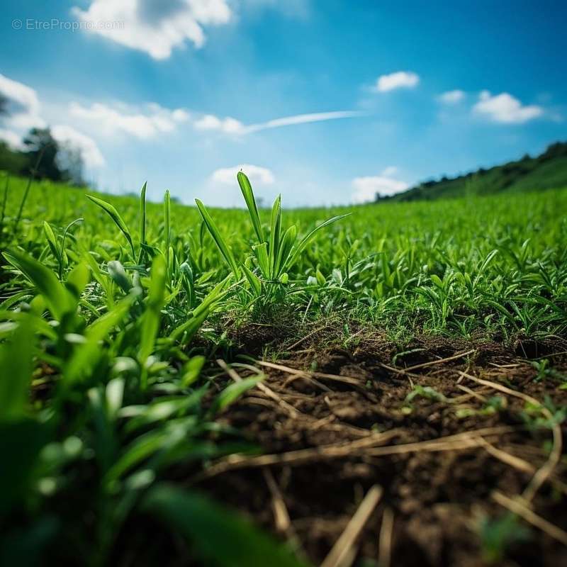 Terrain à SAINT-REMY-DU-VAL