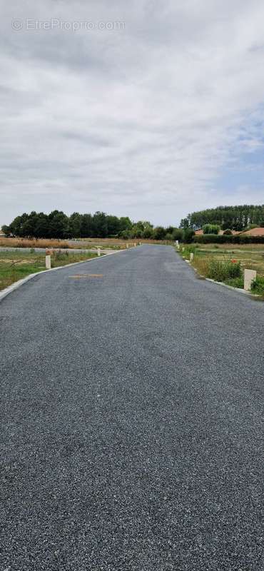 Terrain à SARGE-LES-LE-MANS