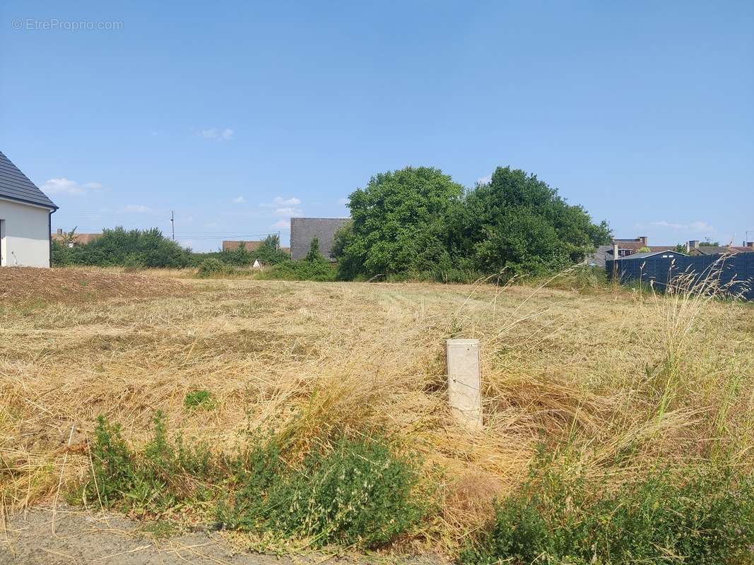 Terrain à LA CHAPELLE-SAINT-REMY