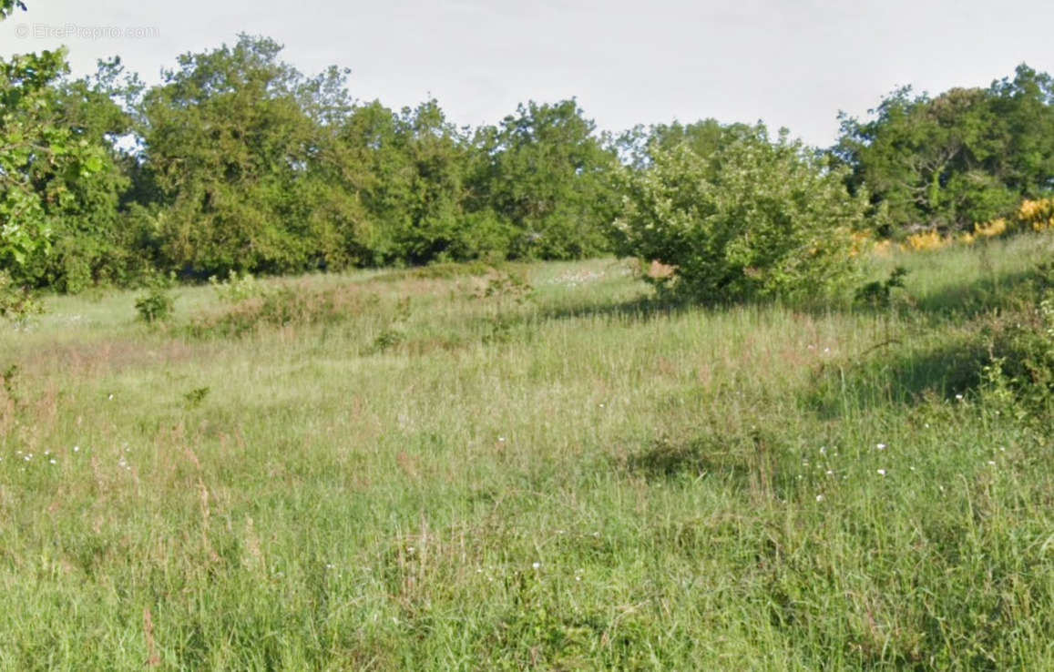 Terrain à SAVIGNE-L&#039;EVEQUE