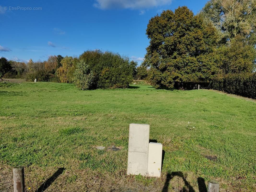 Terrain à HUISSEAU-SUR-COSSON