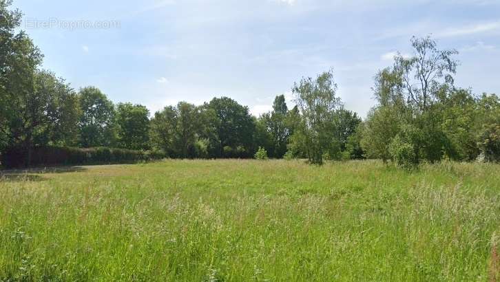 Terrain à CHAUMONT-SUR-LOIRE