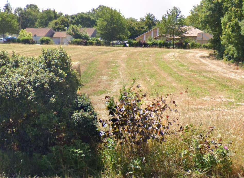 Terrain à SAINT-GEORGES-SUR-CHER