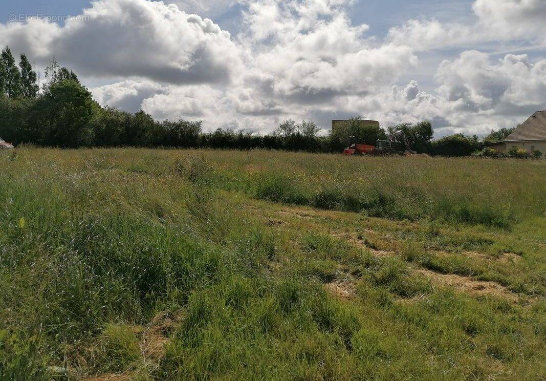 Terrain à MUIDES-SUR-LOIRE