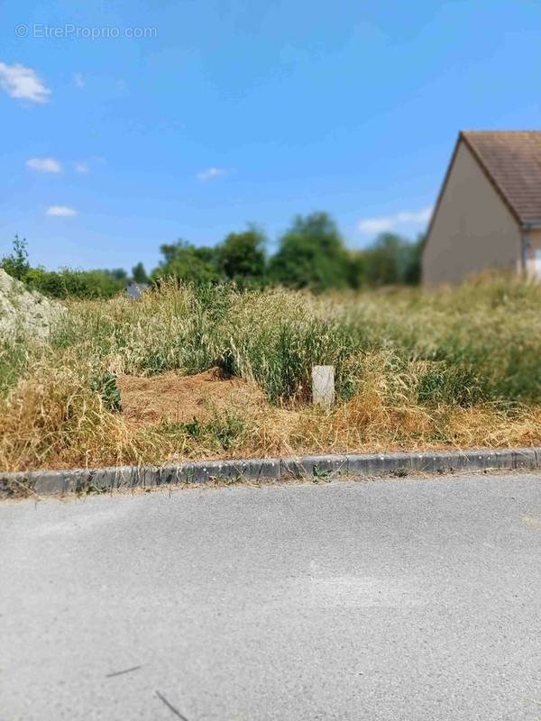 Terrain à CHAUMONT-SUR-LOIRE