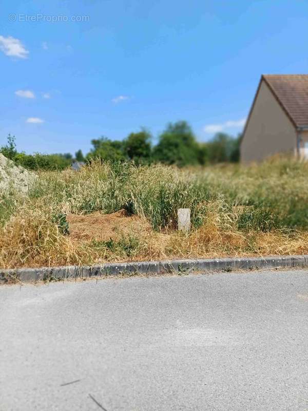 Terrain à CHAUMONT-SUR-LOIRE