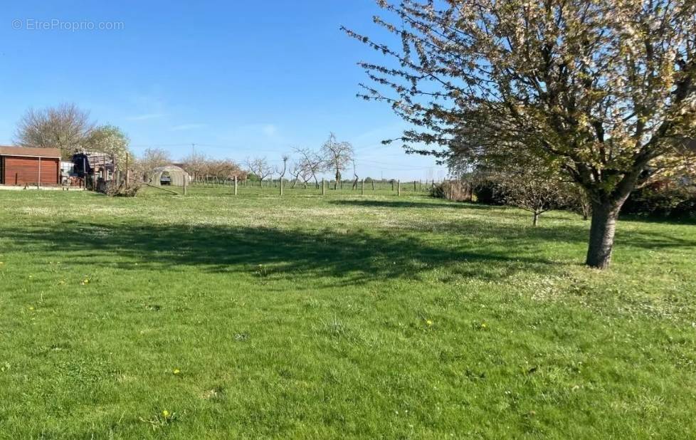 Terrain à CHAUMONT-SUR-LOIRE