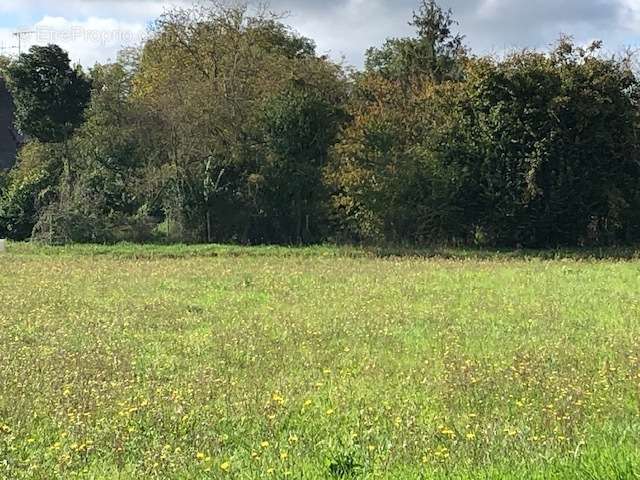 Terrain à BUEIL-EN-TOURAINE