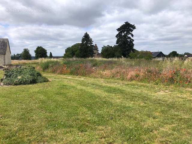 Terrain à JOUE-LES-TOURS