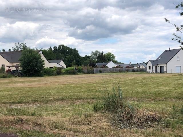 Terrain à SAVIGNE-SUR-LATHAN