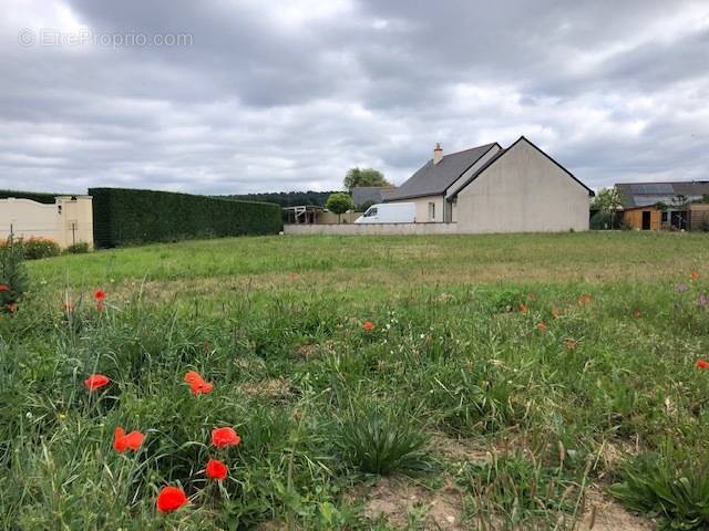 Terrain à LIGNIERES-DE-TOURAINE