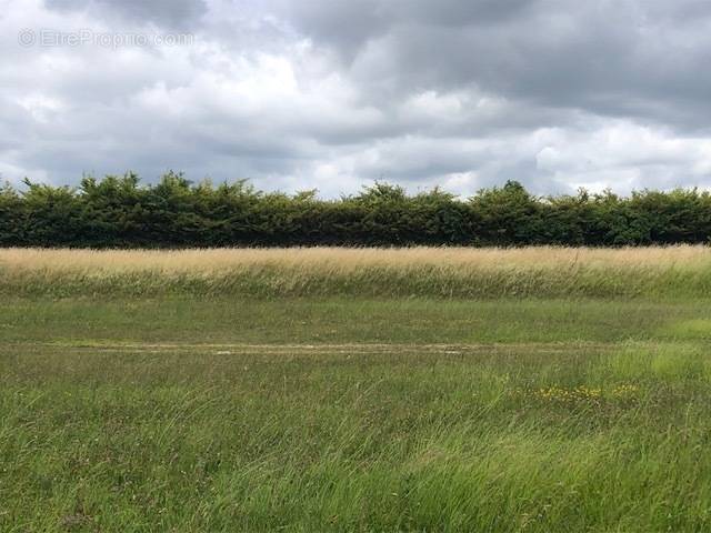 Terrain à PERNAY