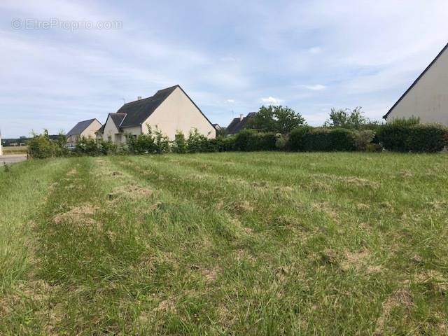 Terrain à SAINTE-MAURE-DE-TOURAINE