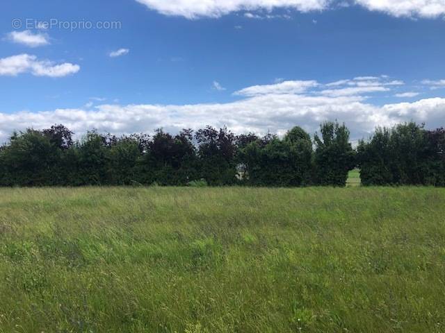 Terrain à LA CROIX-EN-TOURAINE