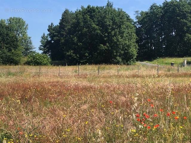 Terrain à BALLAN-MIRE