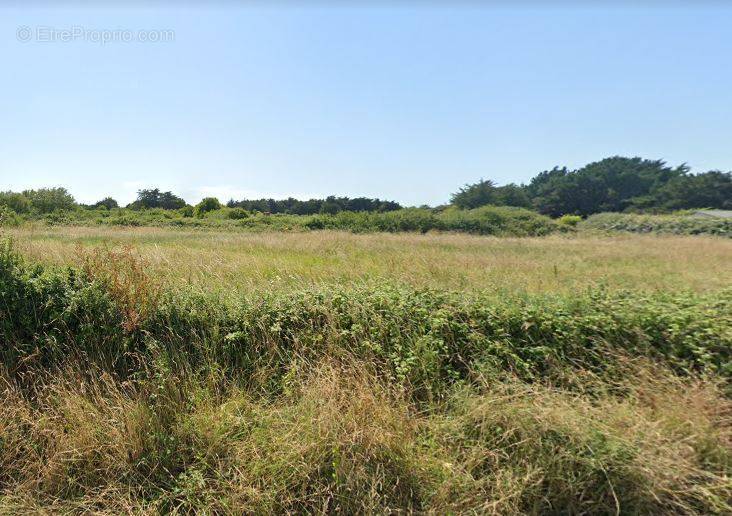 Terrain à NEUVY-LE-ROI