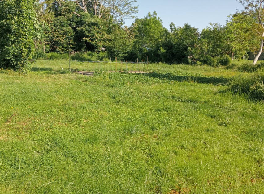 Terrain à CHAMBRAY-LES-TOURS