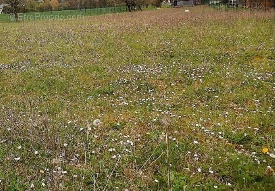 Terrain à SAINT-CYR-SUR-LOIRE