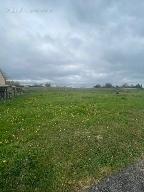 Terrain à REIGNAC-SUR-INDRE