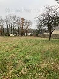 Terrain à REIGNAC-SUR-INDRE