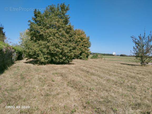 Terrain à AZAY-SUR-CHER