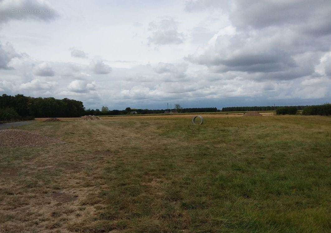 Terrain à CINQ-MARS-LA-PILE