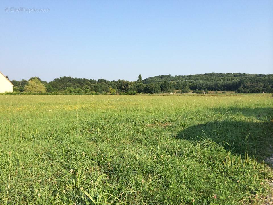 Terrain à AZAY-LE-RIDEAU