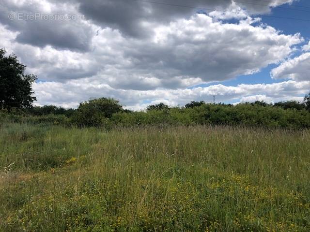 Terrain à SOUZAY-CHAMPIGNY