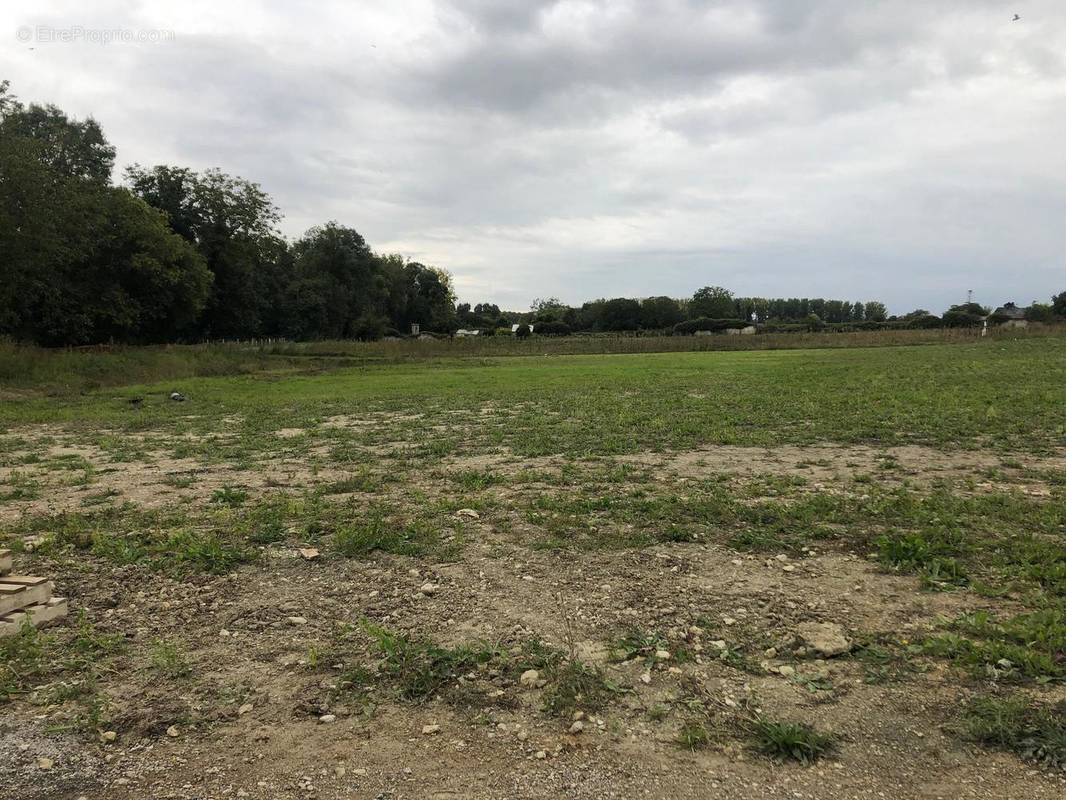 Terrain à CHOUZE-SUR-LOIRE