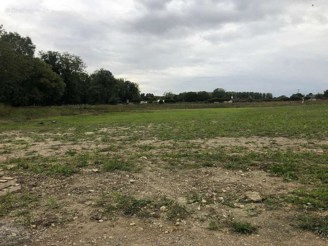 Terrain à SAINTE-MAURE-DE-TOURAINE