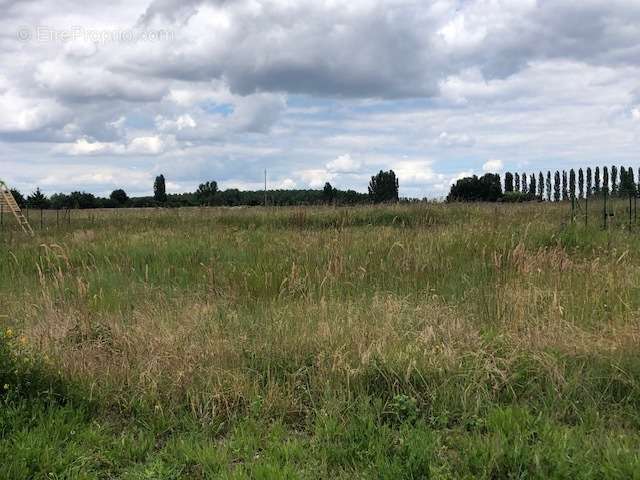 Terrain à BOURGUEIL