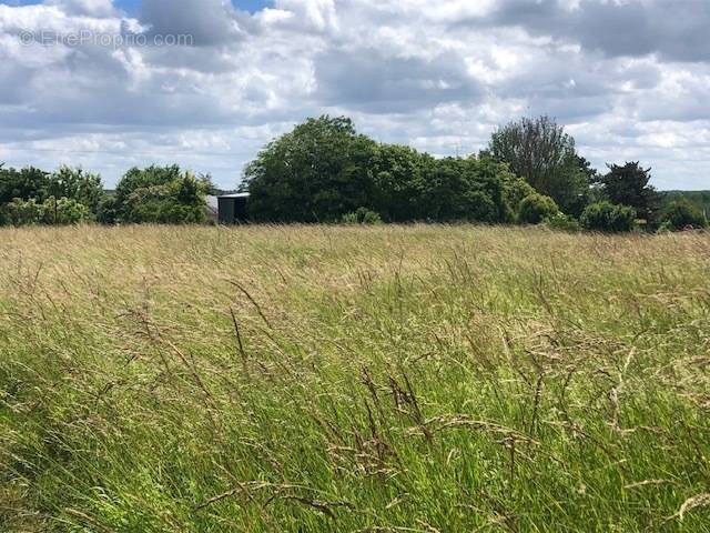 Terrain à MAZIERES-DE-TOURAINE