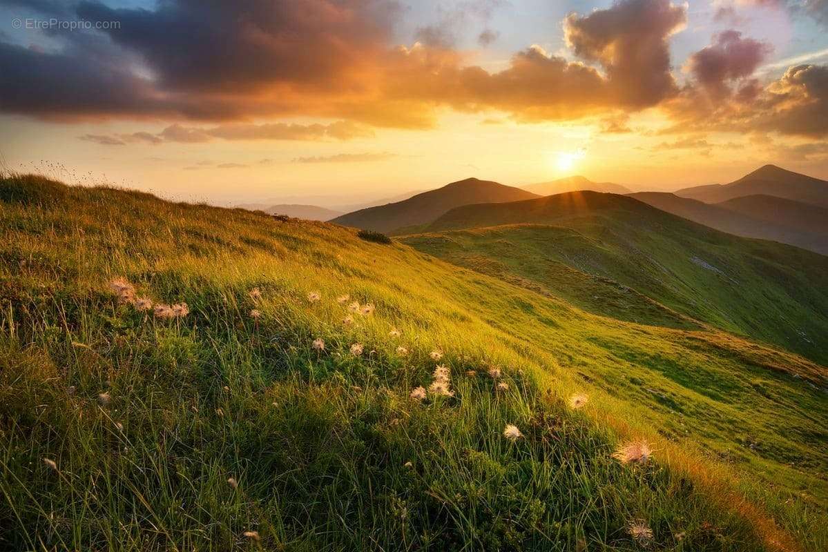 Terrain à RUFFIEUX