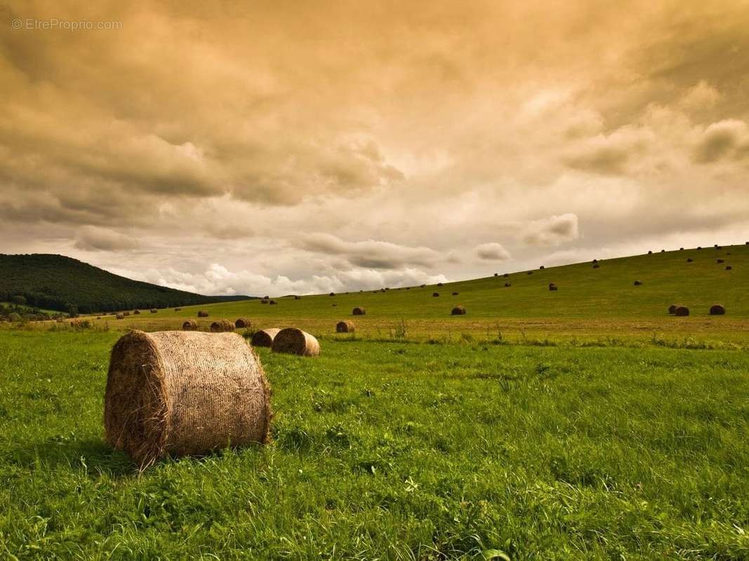 Terrain à RUFFIEUX