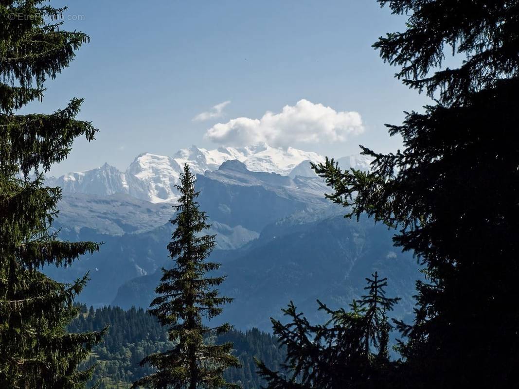 Terrain à CHAPAREILLAN