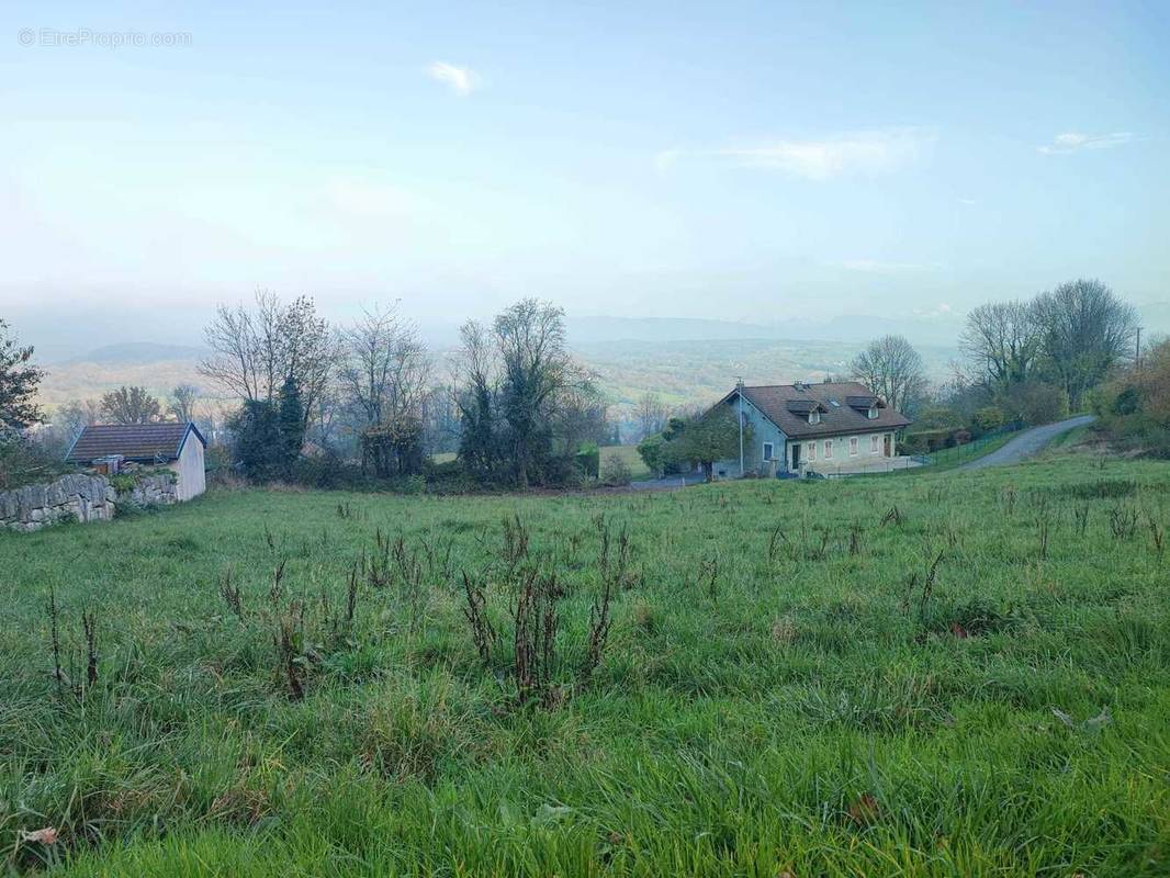 Terrain à SAVIGNY