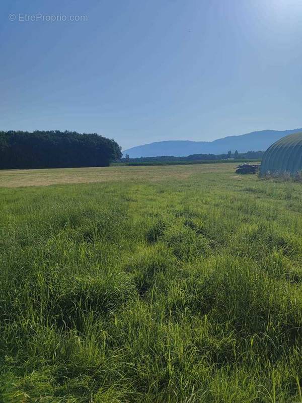 Terrain à VIRY